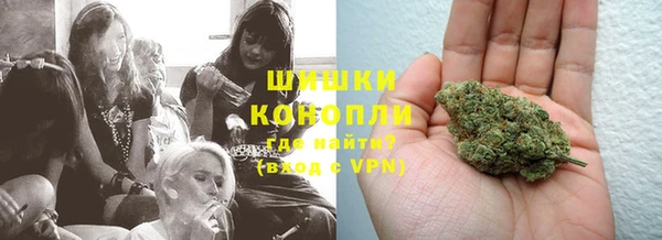 гашик Богданович
