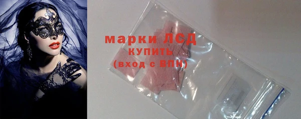 индика Бронницы