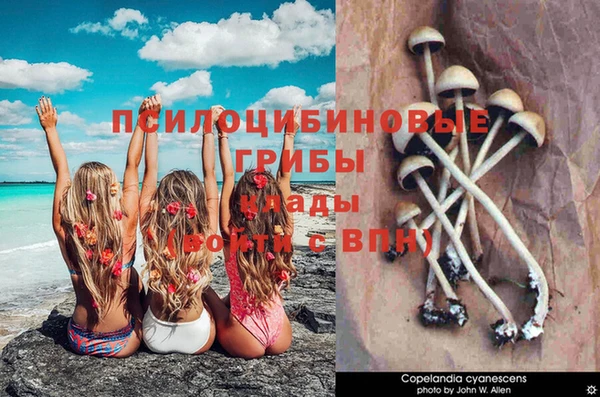 индика Бронницы